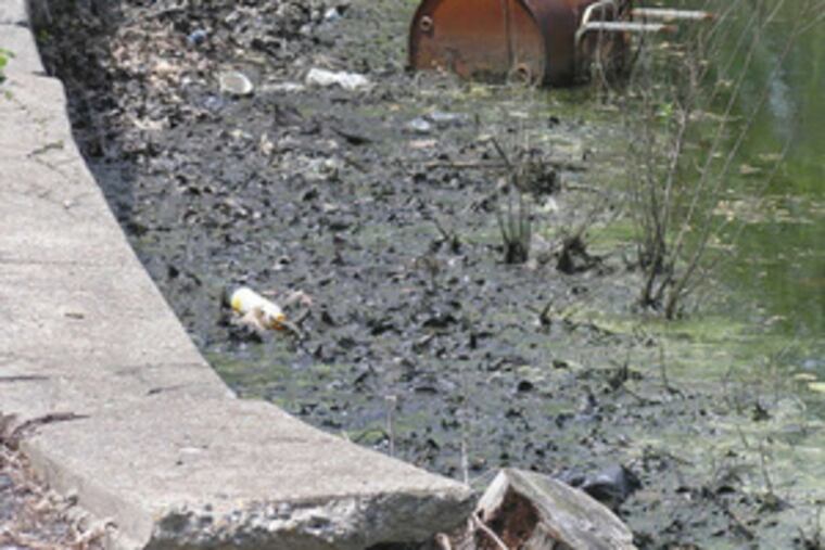 According to a six-week study, this photo of Concourse Lake in West Fairmount Park typifies conditions seen throughout much of the city park system.