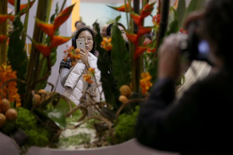 Attendees photograph a display during the first day of the annual Philadelphia Flower Show at the Convention Center in Center City Philadelphia.