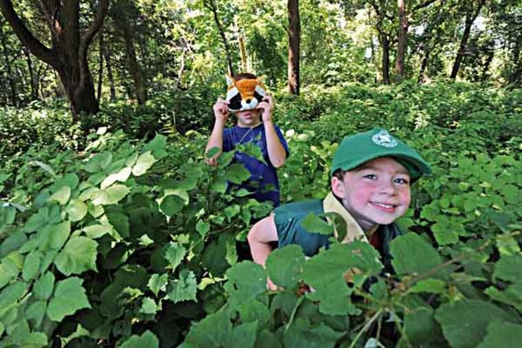 The Rancocas Nature Center in Westampton, NJ on July 30, 2013. Here, playing a camouflage hide-and-seek game are Tommy Hoppe, 6, left, who was wearing a fox mask; and Christopher Reeh, 6, right. ( APRIL SAUL / Staff )