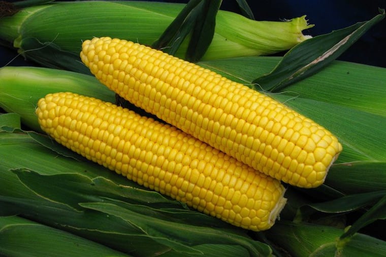 A sweet corn variety called Summer Sweet from Abbott&Cobb.