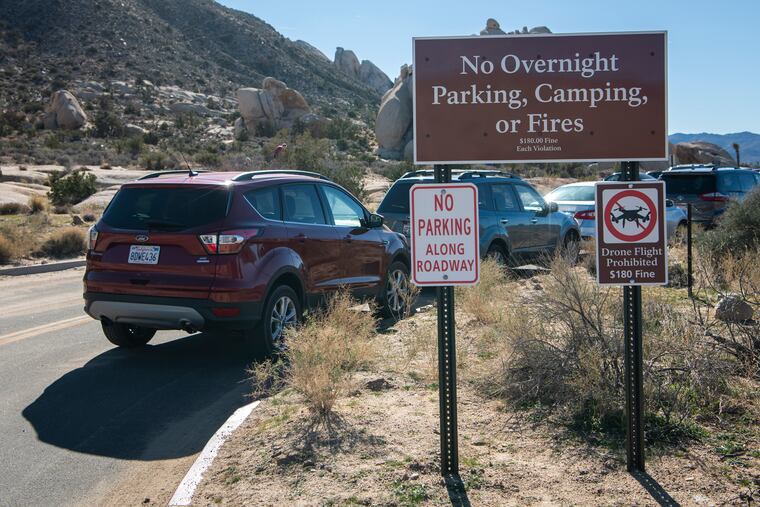In Joshua Tree National Park in California, the government shutdown means that drivers park illegally in a fire lane despite clear signage at the Ryan Mountain trailhead. Photo: Stuart W. Palley / Washington Post News Service