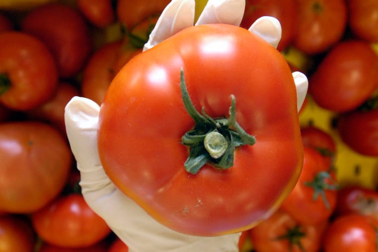 The new seeds, developed by researchers at Rutgers, will be available this year.