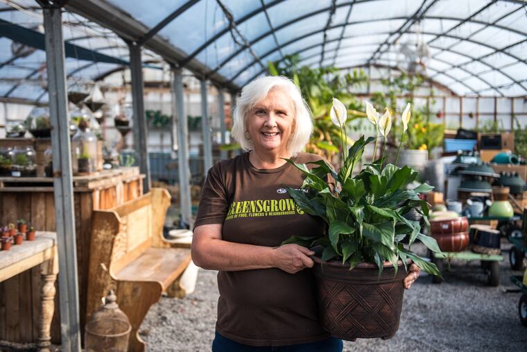 Horticulture specialist Donna Zagrapan holds one of her favorite, NASA-endorsed air-purifying houseplants, the peace lily, which absorbs various toxins from the air.