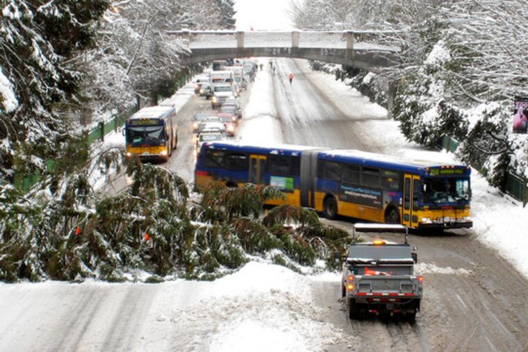 around a tree in Seattle. More snow fell in the Midwest, the Northwest faced snow and sleet, and icy, wet weather hit the Northeast. At least 23 highway deaths had been blamed on the weather.