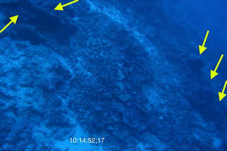 This image shows what could be parts of Amelia Earhart's plane, including a pulley and a fender (upper left) and a wheel (at right). The photo was taken off the remote Pacific island of Nikumaroro by a remote-controlled vehicle during a July expedition. (Click to see larger image.)