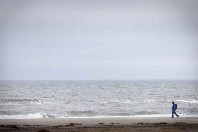 Sea level rise could have a devastating effect on real estate properties in some coastal areas by the end of the century, a Zillow report predicts.