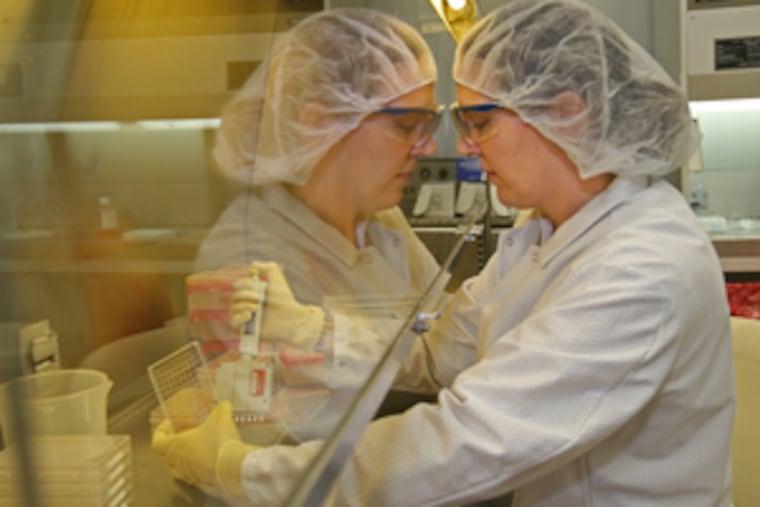 Annette Flood is reflected in a glass hood as she collects monoclonal antibodies to test. Lampire supplies animal blood and other products.