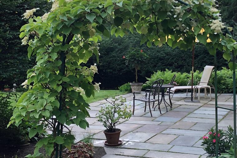 "You can sit on the patio and see the deer and the foxes,” says the owner of the Radnor house.