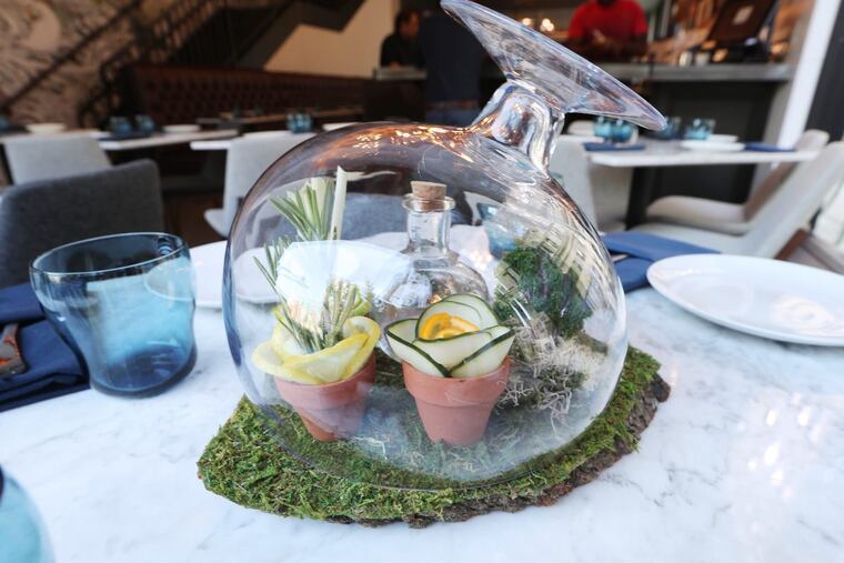 The Gin and Terrarium at Maison 208.