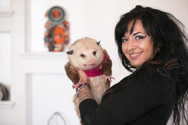 Katy DiSanto of West Philadelphia holds her tame opossum, known affectionately as Gary the Trash Cat.