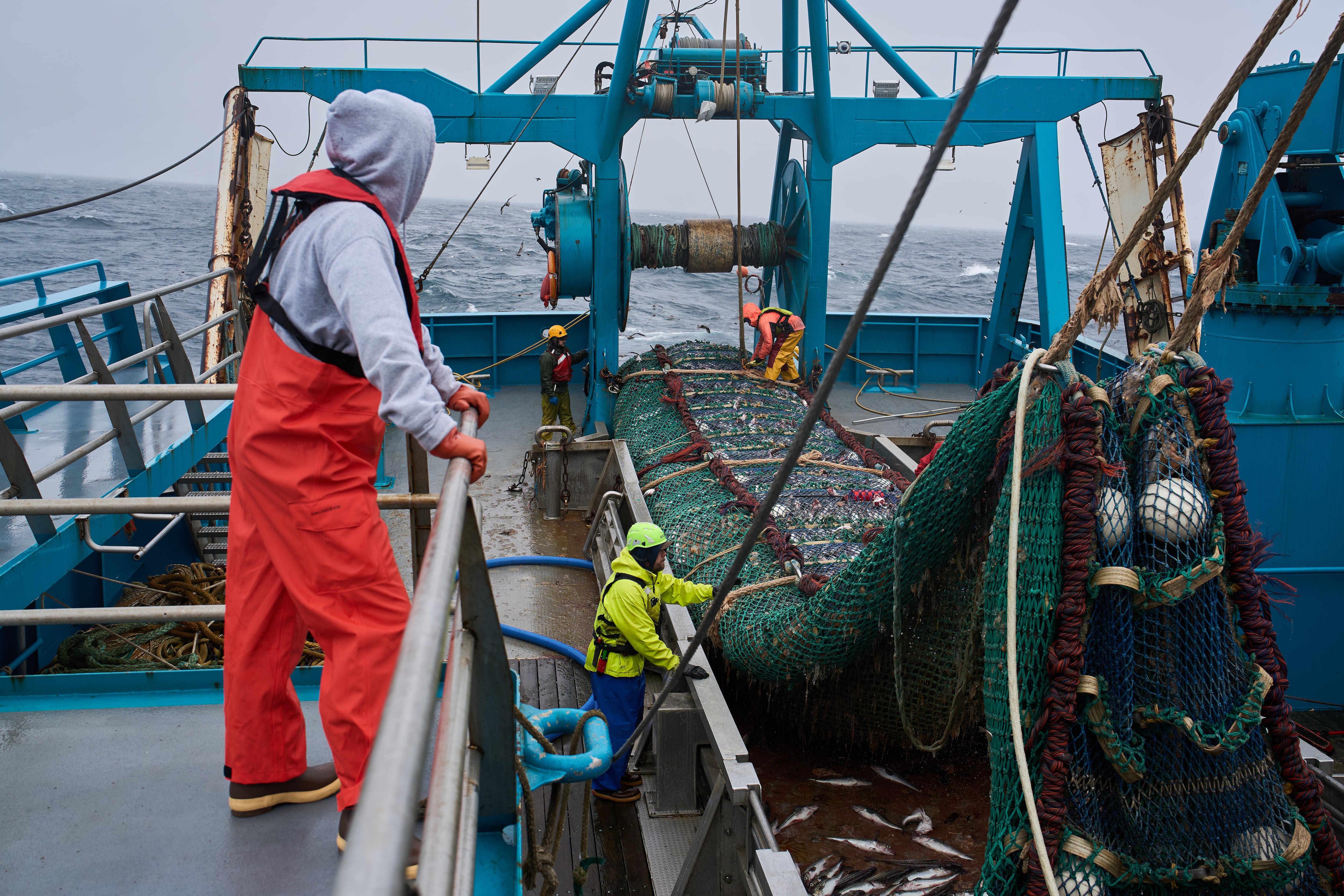 The fish behind America’s fish sticks is fueling a fight over trawling in Alaska