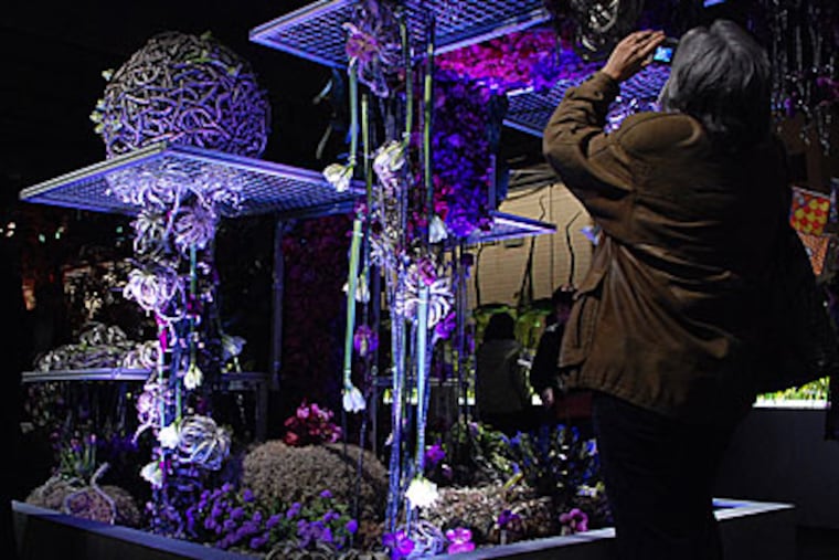 Modabotanica's futuristic floral arraingements are a crowd-pleasingexhibit at the Philadelphia Flower show, which opens this weekend. ( Amanda Cegielski / Staff Photographer )