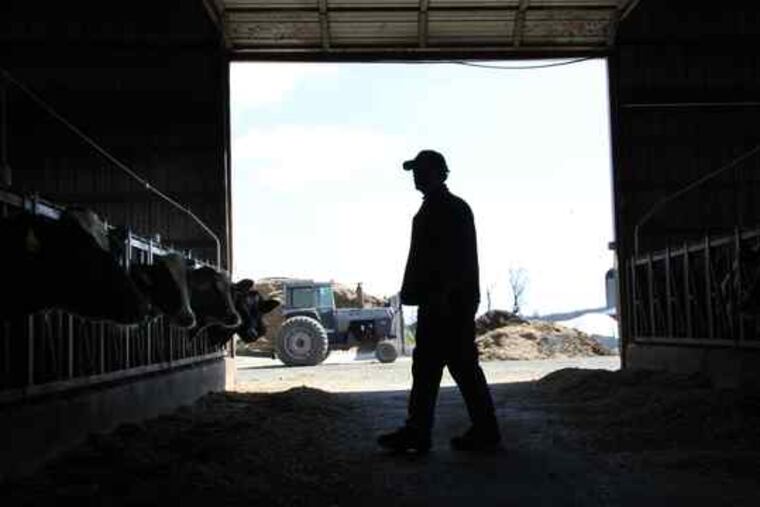 Dale R. Hershey on his family's 142-year-old dairy farm in Manheim, Pa. "When you're losing money every day, it just sort of takes the love out of what you do," he said.