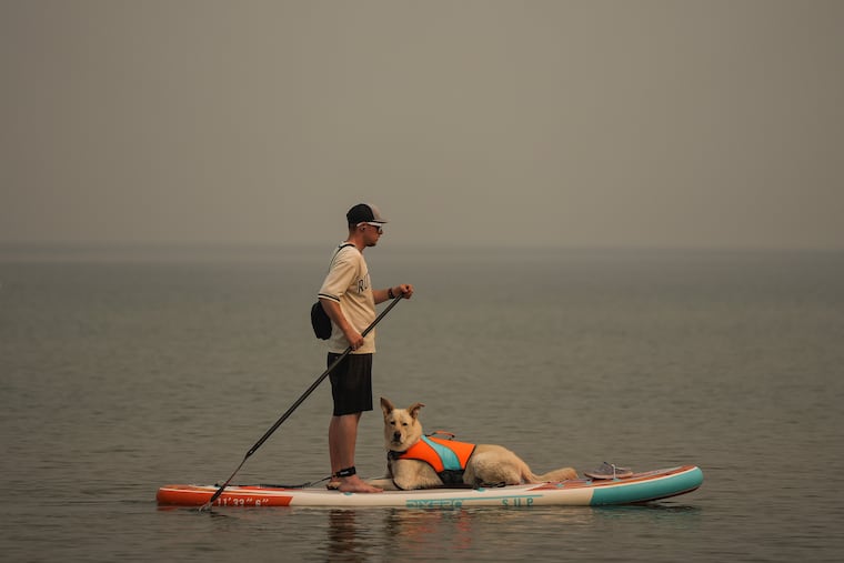 A man paddleboards with a dog as smoke from the Bald Range wildfire envelopes Okanagan Lake, in Penticton, B.C., on Sunday, Aug. 9, 2026.