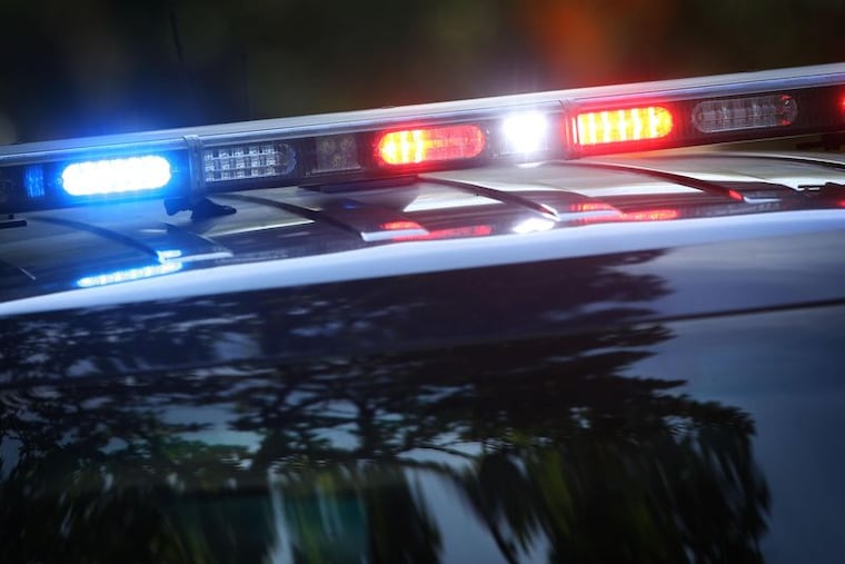 A plane lost power midflight, the pilot attempted a landing in Fluehr Park and hit a tree, authorities said.