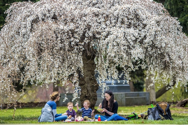 After a stretch of February-like temperatures, Jess Jones (far left) and Eden Coffey decided to bring their sons, Bo (left) and Ellis, to the Horticultural Center in Fairmount Park for a picnic to enjoy the warmth. Temperatures are expected to be in the 80s this weekend.
