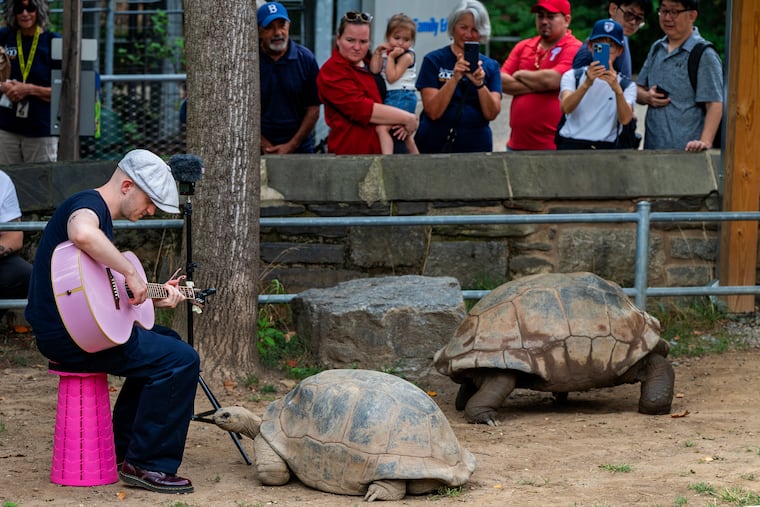 Viral French musician Plumes serenades animals at the Philly Zoo Viral French musician Plumes serenades animals at the Philly Zoo