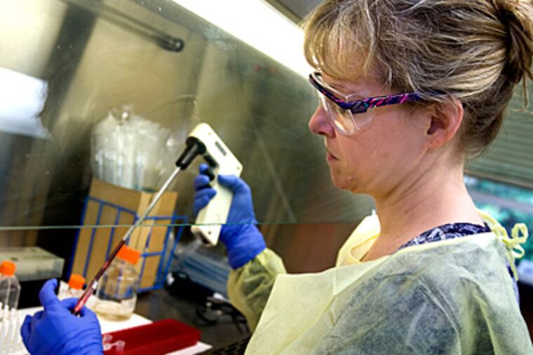 Biotechnology scientist Donna Needham works with blood samples, May 17, 2010. (Corey Lowenstein/Raleigh News & Observer/MCT)