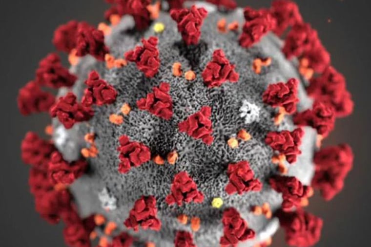A COVID-19 particle is pictured in this image provided by the CDC. A newly published study examined the case of a Nevada man who became infected with two different variants of the virus in less than two months. (U.S. Centers for Disease Control and Prevention)