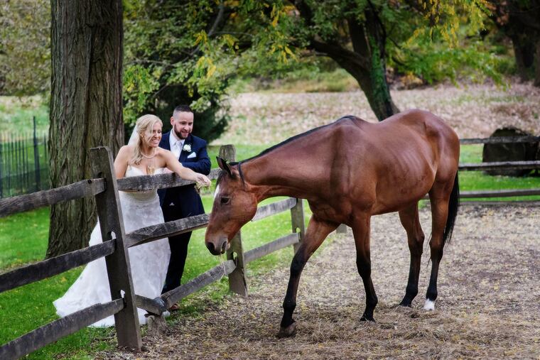 Lauren Pahl and Guido Rodrigues left their cocktail hour to say hello to Squirt, a horse that lives in a barn on the property of Knowlton Mansion.