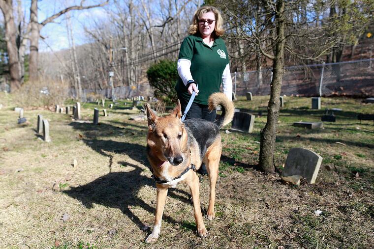 Dorothy Claeys, executive director of the No-kill Francisvale Home for Smaller Animals, walks with Farrah who is up for adoption.