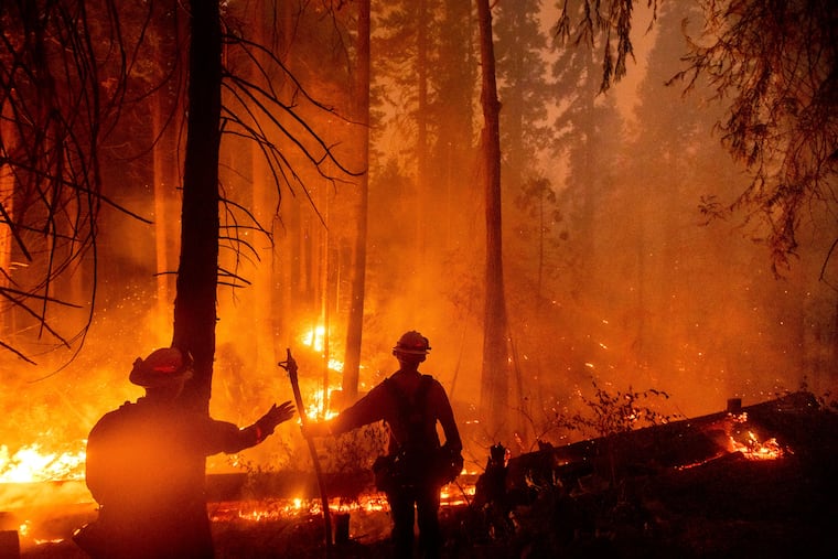 Firefighters battle part of the California wildfires.