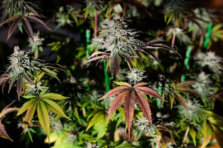 Ohio lawmakers sent legislation to Gov. Mike DeWine that would restrict hemp sales and change the voter-backed recreational marijuana law.