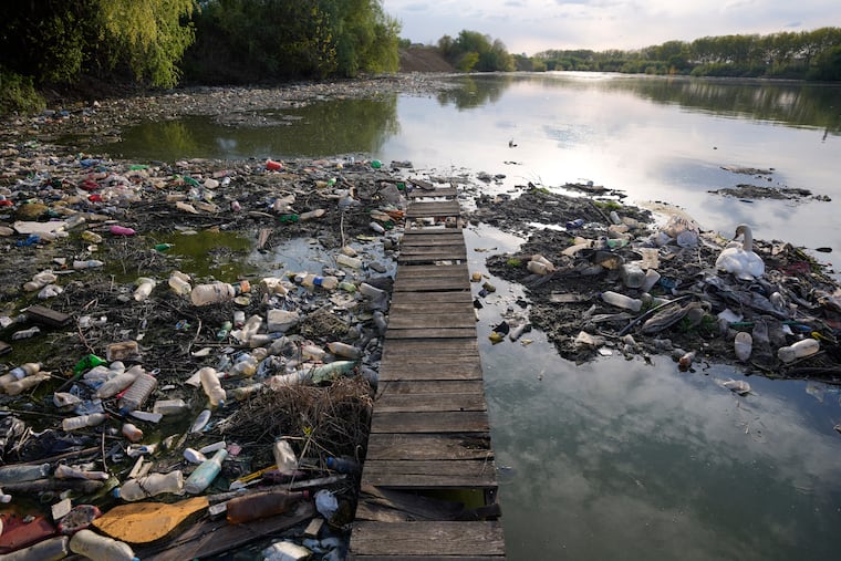 A swan rests between dumped plastic bottles and waste at the Danube river in Belgrade, Serbia, on April 18, 2022.