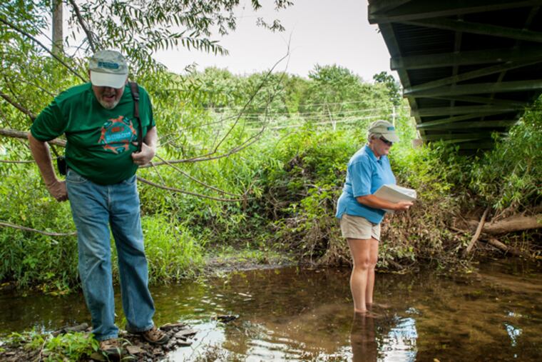 Doug and Wendy McClure, volunteer stream watchers for the Wissahickon Watershed Association, survey a section of Wissihickon Creek in North Wales for a number of stream health indicators. August 13, 2014, North Wales, Pennsylvania. ( MATTHEW HALL / Staff Photographer )