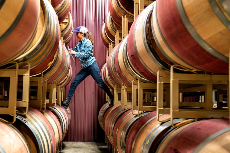 Julie Pierre, assistant wine maker at Saddlehill in Voorhees, samples the wine aging in oak barrels.