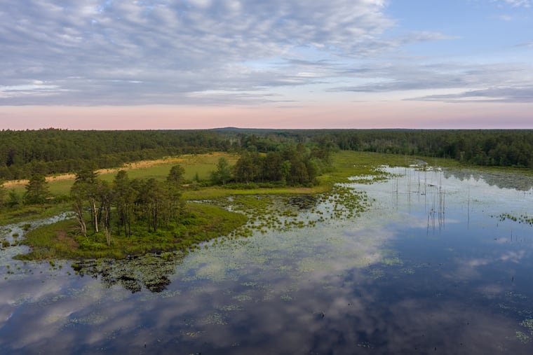 The Franklin Parker Preserve is located within the Burlington County Pine Barrens. The region is the focus of a new climate change resiliency study with the New Jersey Department of Environment Protection.
