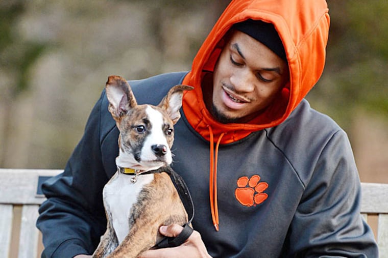 New Sixer K.J. McDaniels, with with his pit bull Layla earlier this year, is dedicated to rescuing abused and neglected dogs. (Bart Boatwright)