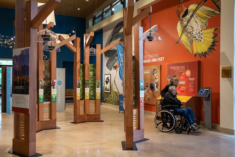 Husband Marvin Schatz, and his wife, Cindy Farrell, of the Roxborough section of Philadelphia, are visiting for the first time the John James Audubon Center at Mill Grove on June 14, 2019. "We like looking up and seeing hawks and owls," Cindy said. "From our yard, we can see quite a variety."