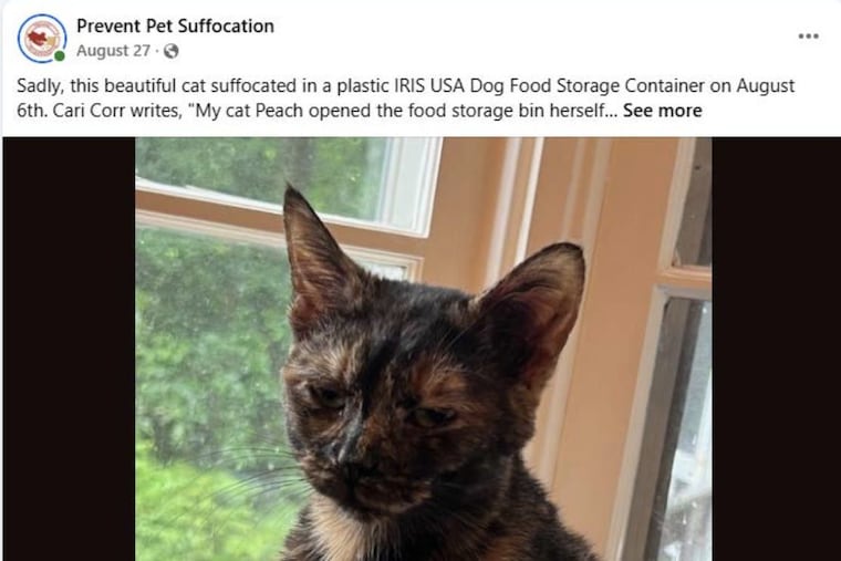 Screenshot of a post in the Prevent Pet Suffocation Facebook group, which shares the story of Peach the cat who died trapped in a Iris USA food storage container, from Valentina Mallozzi's lawsuit against the company.