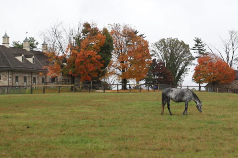 Willistown Township is home to many horse farms and riding centers.