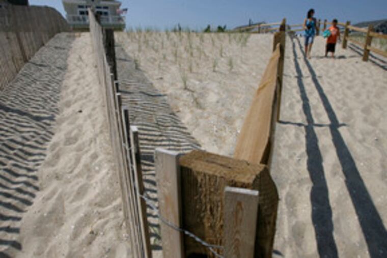 This is some of the replenishment sand deposited by the Army Corps of Engineers.