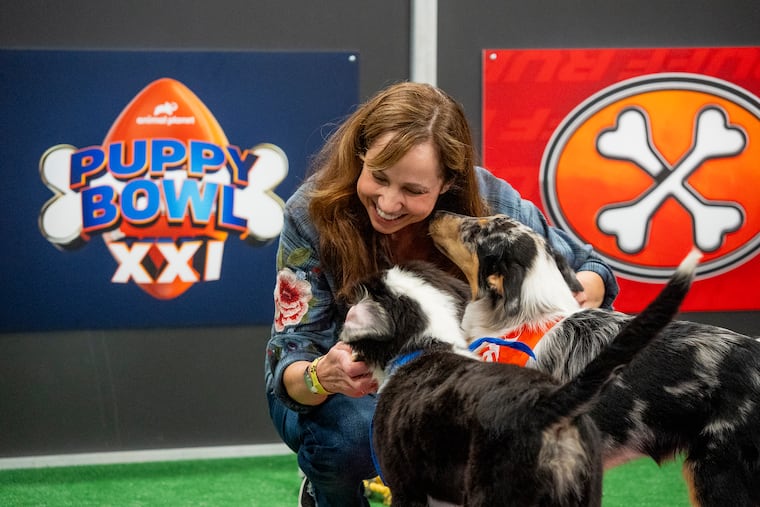 Animal expert Victoria Schade interacting with dogs on the set of "Puppy Bowl XXI."