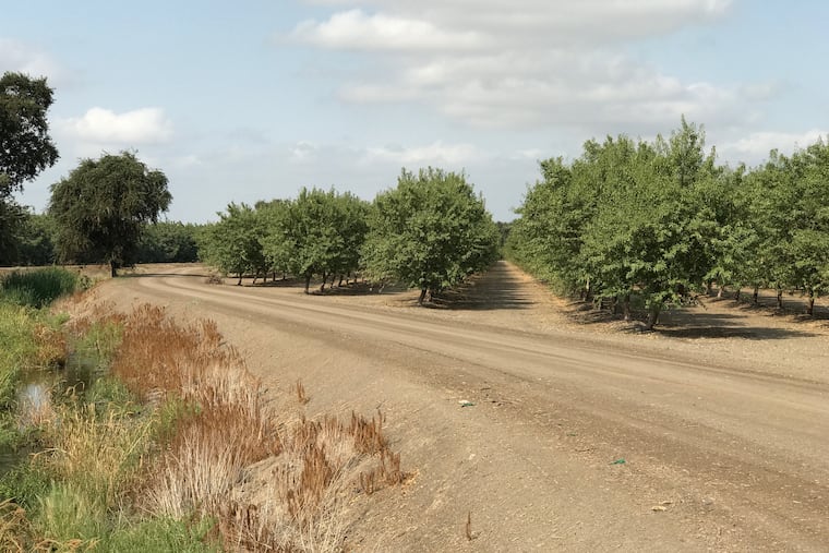 Big Valley Ranch, a fruit and nut farm that covers almost 1,000 acres near Stockton, Calif.