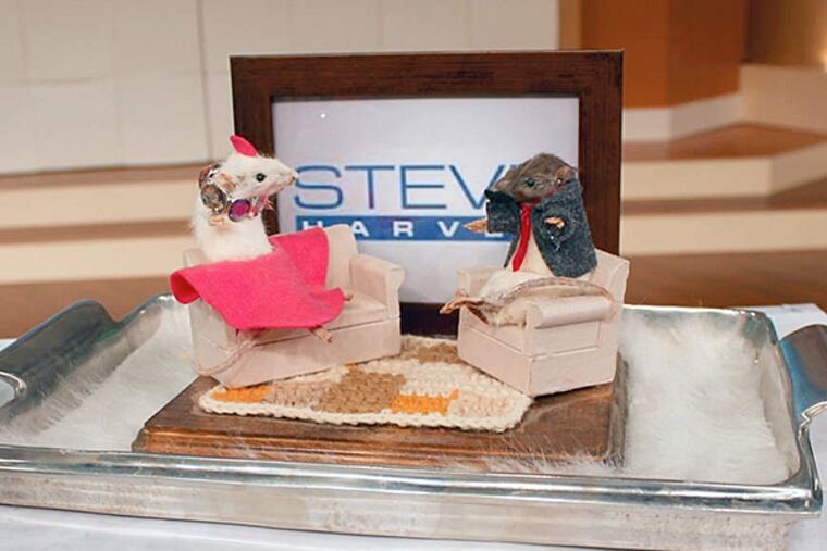 Mackenzie McCarty , 11, of Warminster, went on Steve Harvey's talk show and presented him with this stuffed commemoration of the event.