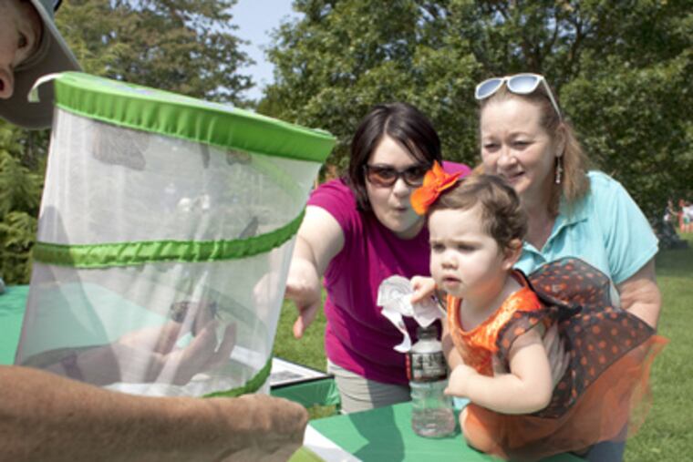Hannah Brinkman, 19 months, of Boothwyn, her mother, Brandy, and grandmother Geraldine were awed by Tyler's monarchs. (Ed Hille / Staff Photographer)