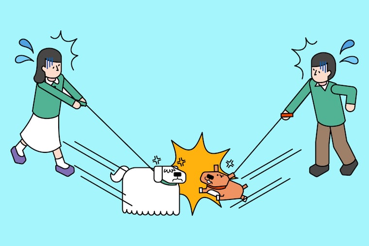 Your dog might be well-behaved, but there's no accounting for what may happen during a dog walk. Be prepared and alert at all times.