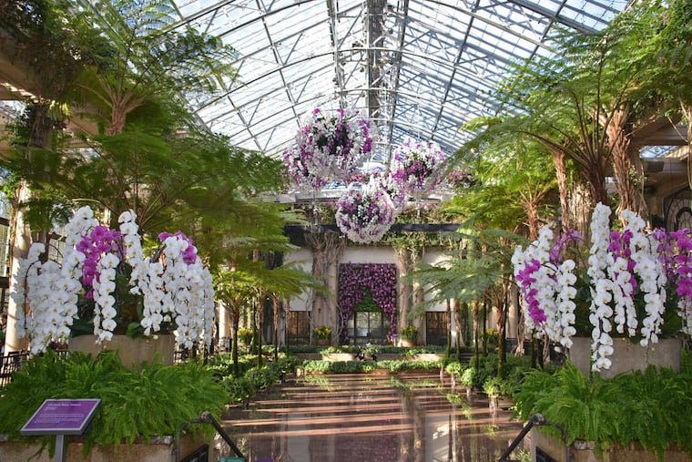 The Orchid Extravaganza in the in the Exhibition Hall at Longwood Gardens, 2015.