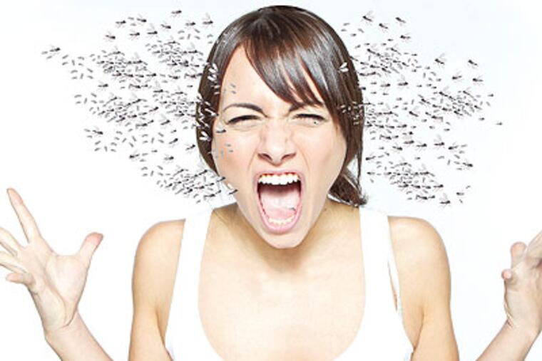 Massive mobs of gnats are wreaking havoc on the Delaware Valley. (Daily News photo illustration)