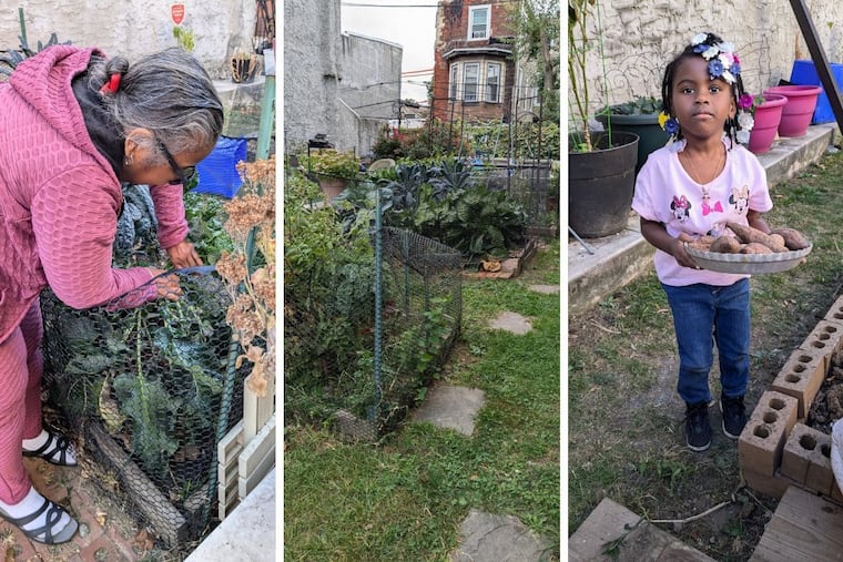 Brenda Reed, left, checks on the vegetables in the North Philadelphia community garden she maintains, while her granddaughter, Zora, right, displays some of the potatoes harvested from the garden. Jasmine Schley writes that rehabbing a house in the neighborhood has given her a chance to go beyond headlines and really get to know community members like Reed.