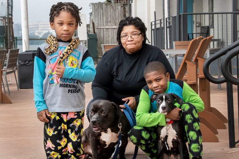 Antwanette Wyche with her sons, Masiah Frazier, 5, holding his pet snake (Milena), and Farrakhan Simons, 11, with pit bulls Bella, right, and Bubby, at their temporary residence last week at the Airport Waterfront Inn in Essington. Red Paw Emergency Relief helped reunite the family with their pets after a fire destroyed their home.