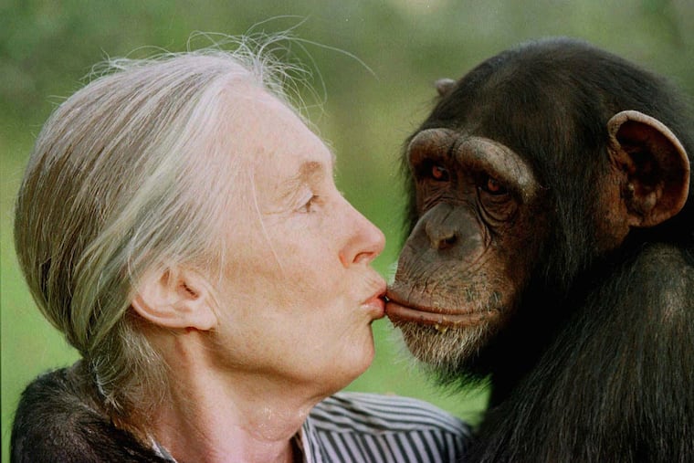 Jane Goodall, conservationist renowned for chimpanzee research and environmental advocacy, has died at 91