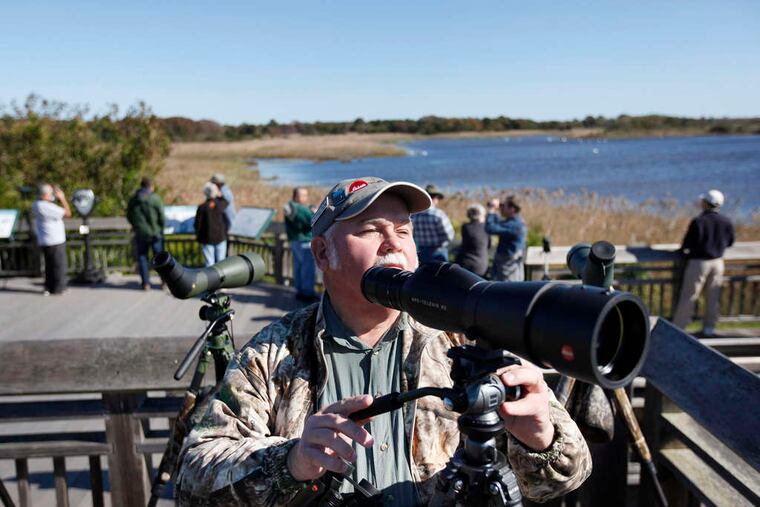Warren J. Lilley Jr., a member of the Audubon Society of Atlantic County, watches birds at Cape May Point State Park in 2014.