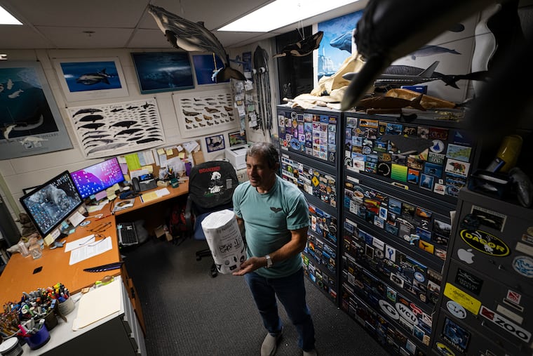 West Chester University biology professor Frank Fish won an "Ig Nobel" prize, in honor of his research on why ducklings swim in a line.