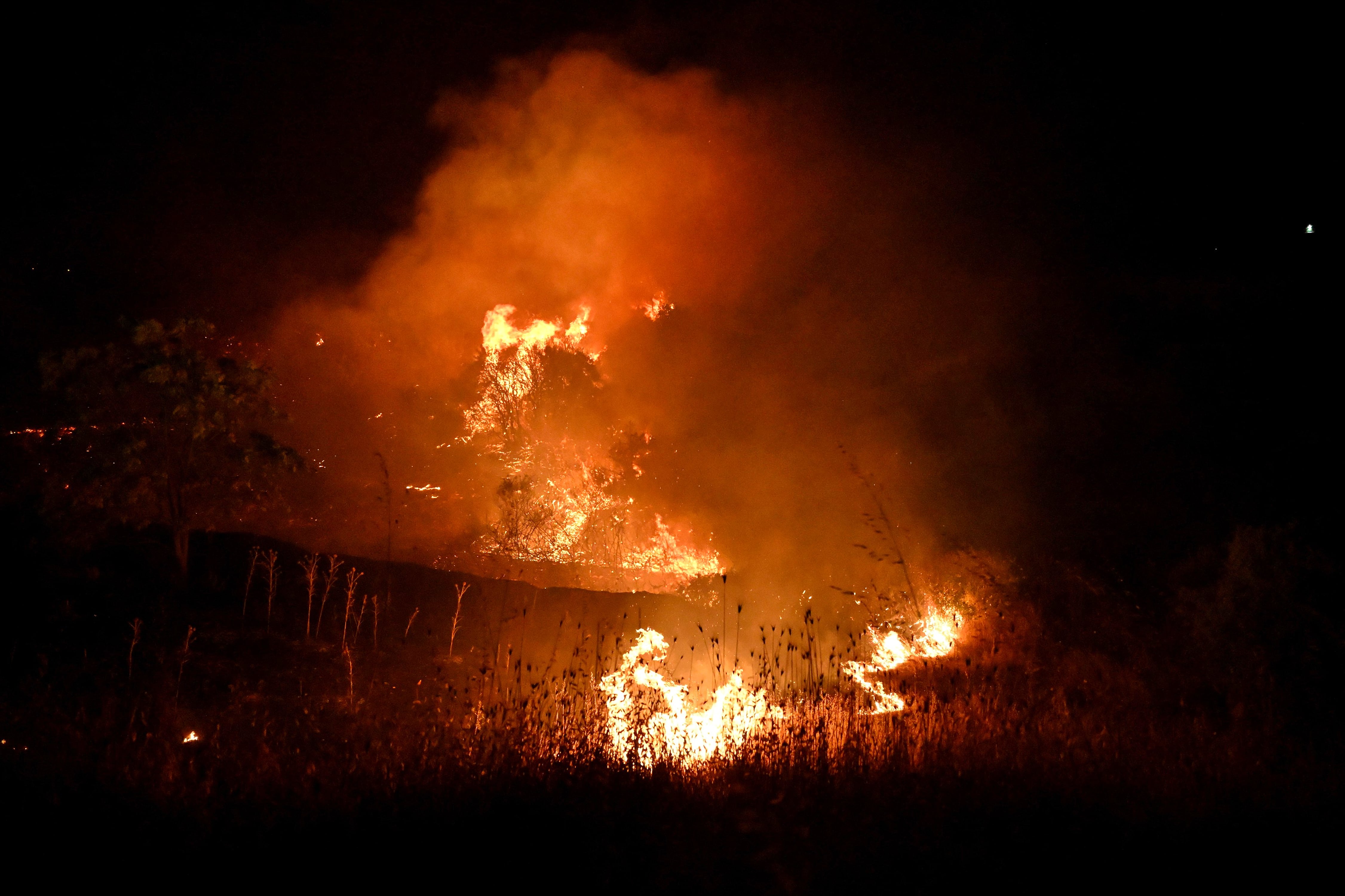 A fast-moving wildfire near Greece's Thessaloniki sparks evacuations as smoke blankets suburbs