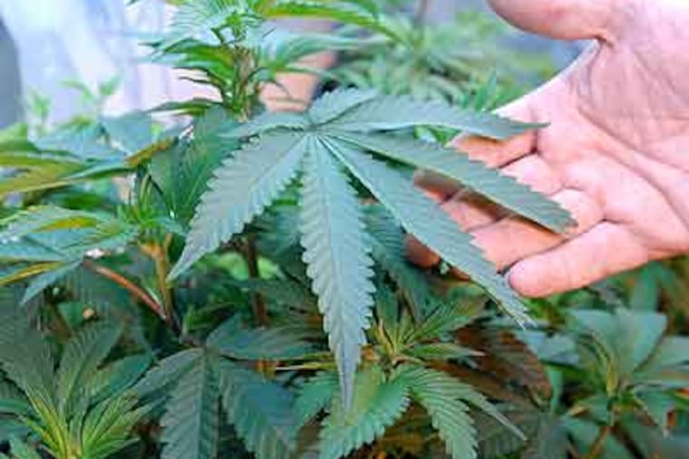 Researchers found that drivers who had used marijuana within three hours of beginning to drive had nearly double the risk of causing a collision, especially those that were fatal. (Jeff Barnard / AP Photo)